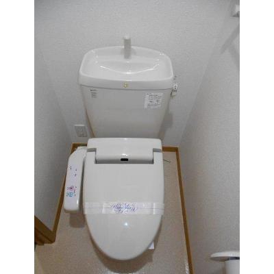 メゾン・グラース 202【管理NO：1-014189001-02020】 ★家具家電は申し込み後に搬入します★ ★2026年10月中旬入居可能★の物件写真5
