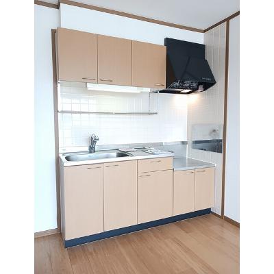 フレッシュ積志 203【管理NO：1-010874401-02030】 ★家具家電は申し込み後に搬入します★の物件写真3