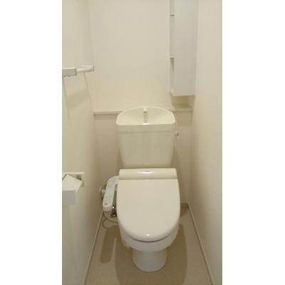 コルディアーレ南風 203【管理NO：1-021002601-02030】 ★家具家電は申し込み後に搬入します★ ★2026年10月中旬入居可能★の物件写真5