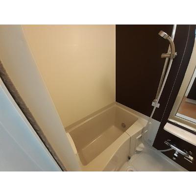 カーサ　セレーナ 108【管理NO：1-019933501-01070】 ★家具家電は申し込み後に搬入します★ ★2026年10月中旬入居可能★の物件写真4