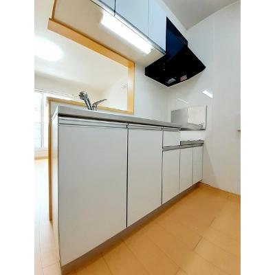 アリエスⅠ 203【管理NO：1-016980001-02030】 ★家具家電は申し込み後に搬入します★の物件写真3
