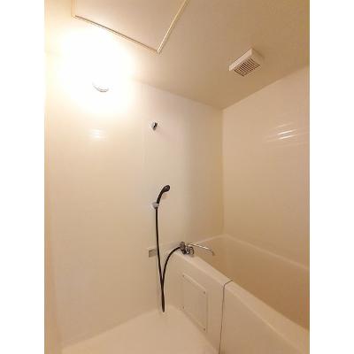 サンラーク鍋島 204【管理NO：1-004422801-02040】 ★家具家電は申し込み後に搬入します★ ★2026年10月下旬入居可能★の物件写真4