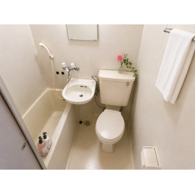 🌹WIFI無料！京成金町徒歩6分！202号室 HM45🌹の物件写真2