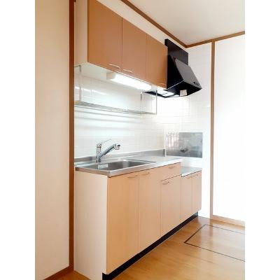 ソルフィーＢ 103【管理NO：1-011545302-01030】 ★家具家電は申し込み後に搬入します★の物件写真3