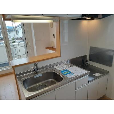 コネチカット　Ｂ 201【管理NO：1-015749202-02010】 ★家具家電は申し込み後に搬入します★の物件写真3