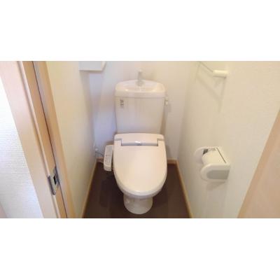 アマール・パードレス 201【管理NO：1-016214501-02010】 ★家具家電は申し込み後に搬入します★ ★2026年09月下旬入居可能★の物件写真5