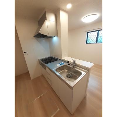 スイートラズベリー 101【管理NO：1-027622501-01010】 ★家具家電は申し込み後に搬入します★ ★2026年09月中旬入居可能★の物件写真3