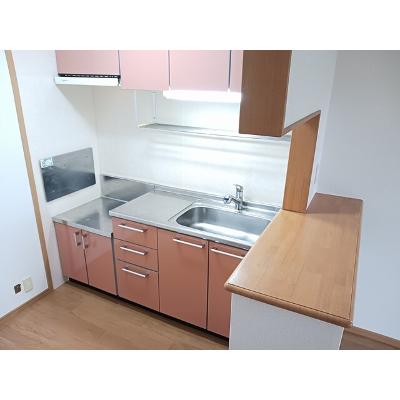 プラシ－ドピアッツァⅡ 201【管理NO：1-013245202-02010】 ★家具家電は申し込み後に搬入します★ ★2026年10月中旬入居可能★の物件写真3