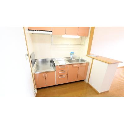 アヴァンシアＢ 203【管理NO：1-012634102-02030】 ★家具家電は申し込み後に搬入します★ ★2026年09月下旬入居可能★の物件写真3