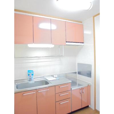 アヴァンシアＡ 203【管理NO：1-012634101-02030】 ★家具家電は申し込み後に搬入します★ ★2026年10月中旬入居可能★の物件写真3