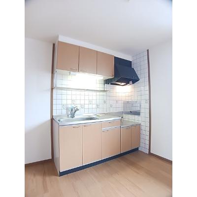 セントラルヒルズⅢ 203【管理NO：1-010863603-02030】 ★家具家電は申し込み後に搬入します★の物件写真3