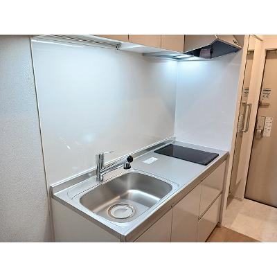 ヒカルサさいたま吉野 203【管理NO：1-028634301-02030】 ★家具家電は申し込み後に搬入します★の物件写真3