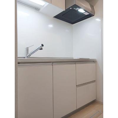 ラフィーネＥⅢ 106【管理NO：1-027106101-01050】 ★家具家電は申し込み後に搬入します★の物件写真3