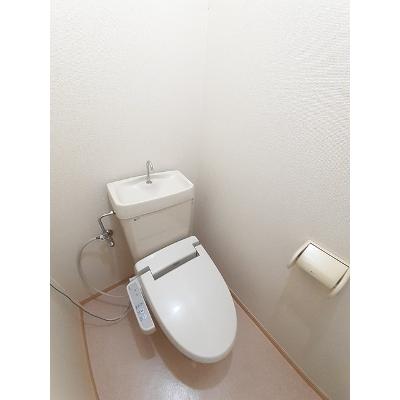 ニューシティミズホリ 203【管理NO：1-003447801-02030】 ★家具家電は申し込み後に搬入します★ ★2026年10月中旬入居可能★の物件写真5