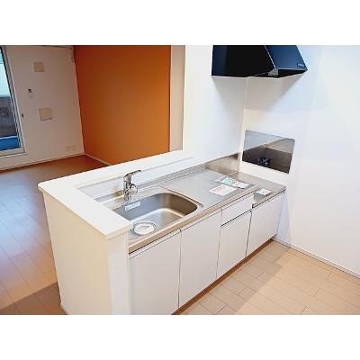 ピース　マインド 201【管理NO：1-019313101-02010】 ★家具家電は申し込み後に搬入します★の物件写真3