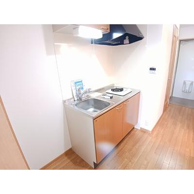 ラ・コルタ 106【管理NO：1-013525001-01050】 ★家具家電は申し込み後に搬入します★の物件写真3