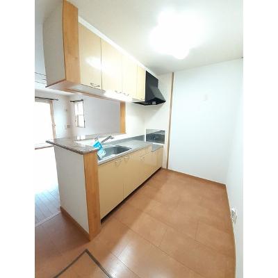 プラシード参番館 101【管理NO：1-013835303-01010】 ★家具家電は申し込み後に搬入します★ ★2026年10月中旬入居可能★の物件写真3