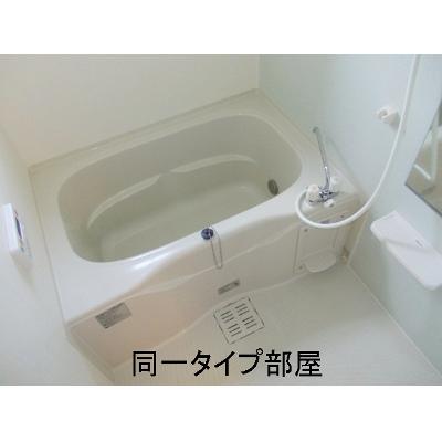 カーサ　セレノ 101【管理NO：1-015805501-01010】 ★家具家電は申し込み後に搬入します★ ★2026年10月中旬入居可能★の物件写真4