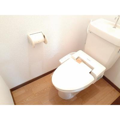 エクセルハイツ 202【管理NO：1-003872701-02020】 ★家具家電は申し込み後に搬入します★の物件写真5