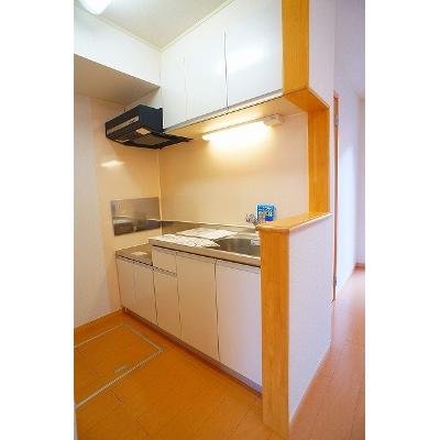 リーサス 101【管理NO：1-017030801-01010】 ★家具家電は申し込み後に搬入します★ ★2026年10月中旬入居可能★の物件写真3