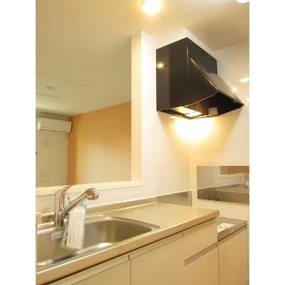 スプリングベル 102【管理NO：1-020993001-01020】 ★家具家電は申し込み後に搬入します★ ★2026年11月中旬入居可能★の物件写真3