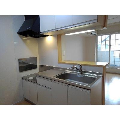 アムール 202【管理NO：1-017095001-02020】 ★家具家電は申し込み後に搬入します★ ★2026年10月中旬入居可能★の物件写真3