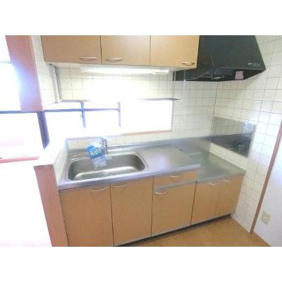グランシエル 305【管理NO：1-011367401-03040】 ★家具家電は申し込み後に搬入します★ ★2026年10月中旬入居可能★の物件写真3