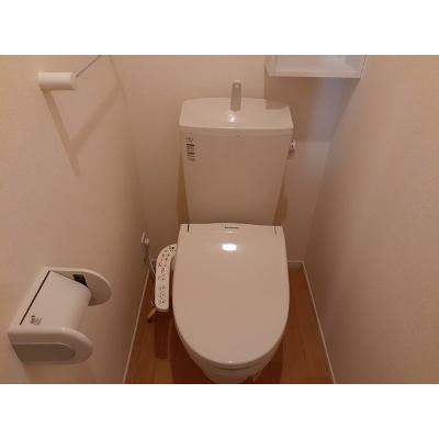 アンダンテ　いわせ野Ⅱ 202【管理NO：1-021836101-02020】 ★家具家電は申し込み後に搬入します★ ★2026年10月中旬入居可能★の物件写真5