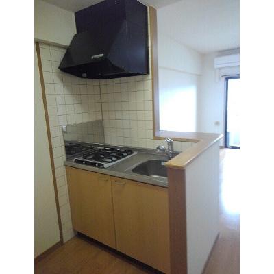 シャン・ド・フレーズⅡ 406【管理NO：1-011422501-04060】 ★家具家電は申し込み後に搬入します★ ★2026年11月中旬入居可能★の物件写真3