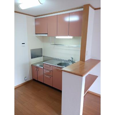 サニーコートＡ 202【管理NO：1-012879401-02020】 ★家具家電は申し込み後に搬入します★ ★2026年10月上旬入居可能★の物件写真3