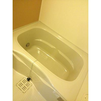 ライルヴィラ 302【管理NO：1-020681001-03020】 ★家具家電は申し込み後に搬入します★ ★2026年10月中旬入居可能★の物件写真4