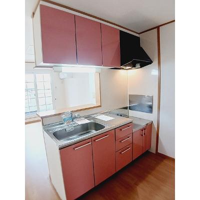 メープルリーフⅢ 203【管理NO：1-013288201-02030】 ★家具家電は申し込み後に搬入します★の物件写真3