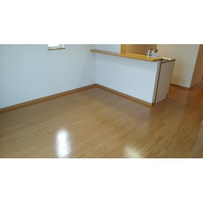 アンジェリート 205【管理NO：1-013439501-02040】 ★家具家電は申し込み後に搬入します★ ★2026年10月中旬入居可能★の物件写真2