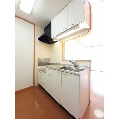 トゥールコネッサンス 102【管理NO：1-014198201-01020】 ★家具家電は申し込み後に搬入します★ ★2026年10月中旬入居可能★の物件写真3