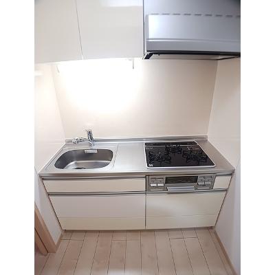 ラフレシール　ドゥ 303【管理NO：1-017509801-03030】 ★家具家電は申し込み後に搬入します★の物件写真3