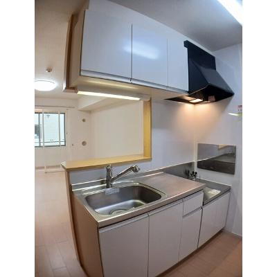 アムール・アドニス 102【管理NO：1-017076901-01020】 ★家具家電は申し込み後に搬入します★の物件写真3