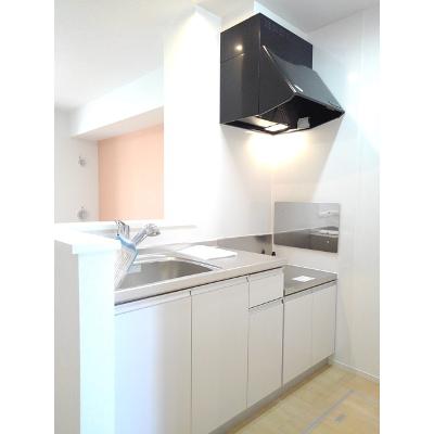 サウス　スプリングⅢ 104【管理NO：1-022736401-01040】 ★家具家電は申し込み後に搬入します★ ★2026年10月中旬入居可能★の物件写真3