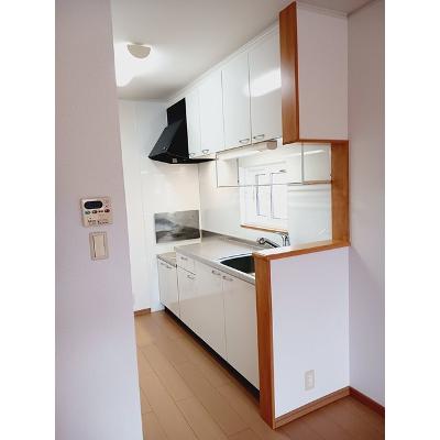 ニューユニゾン　Ａ 201【管理NO：1-015152001-02010】 ★家具家電は申し込み後に搬入します★ ★2026年10月中旬入居可能★の物件写真3