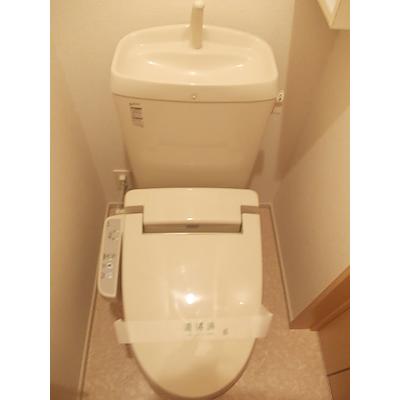 アルバテラス 106【管理NO：1-017926501-01060】 ★家具家電は申し込み後に搬入します★ ★2026年11月中旬入居可能★の物件写真5