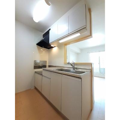 メゾン・エスポワール 202【管理NO：1-017962201-02020】 ★家具家電は申し込み後に搬入します★ ★2026年11月中旬入居可能★の物件写真3