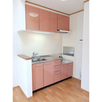 ホークフェザー１７ 203【管理NO：1-013159601-02030】 ★家具家電は申し込み後に搬入します★ ★2026年10月中旬入居可能★の物件写真3