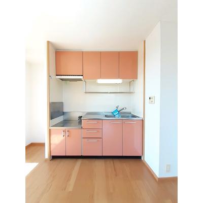 アクエスタ 204【管理NO：1-013015201-02040】 ★家具家電は申し込み後に搬入します★ ★2026年11月中旬入居可能★の物件写真3