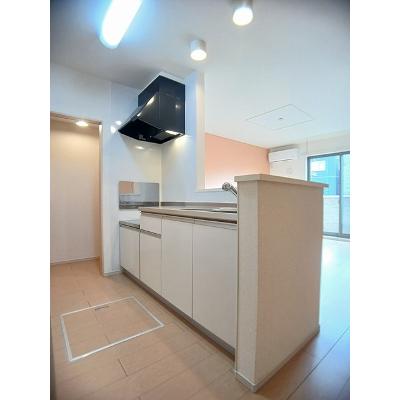 パレイシア 103【管理NO：1-019119201-01030】 ★家具家電は申し込み後に搬入します★ ★2026年10月上旬入居可能★の物件写真3