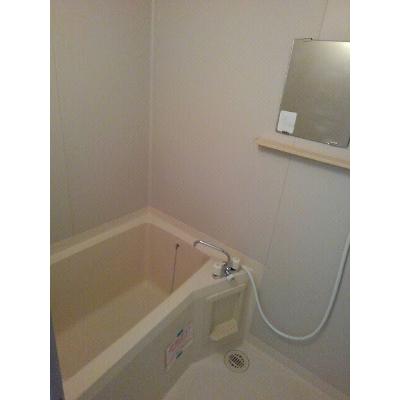 セレニオンハイツ 302【管理NO：1-003802401-03020】 ★家具家電は申し込み後に搬入します★ ★2026年11月中旬入居可能★の物件写真4