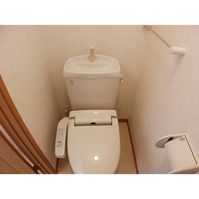ラ・ベレッツァⅢ 204【管理NO：1-013931603-02040】 ★家具家電は申し込み後に搬入します★の物件写真5