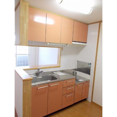 セレーノヒナザワ　Ａ 202【管理NO：1-012593301-02020】 ★家具家電は申し込み後に搬入します★ ★2026年10月下旬入居可能★の物件写真3