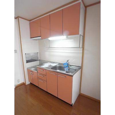 Ｎ＆ＹアベニューＦ 102【管理NO：1-012383206-01020】 ★家具家電は申し込み後に搬入します★の物件写真3