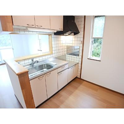 エヴァ　グリーン　Ｂ 203【管理NO：1-010581602-02030】 ★家具家電は申し込み後に搬入します★の物件写真3