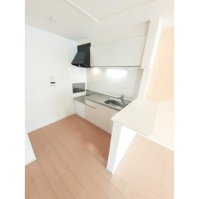 グランツ　ミツワ 203【管理NO：1-018975901-02030】 ★家具家電は申し込み後に搬入します★ ★2026年11月上旬入居可能★の物件写真3