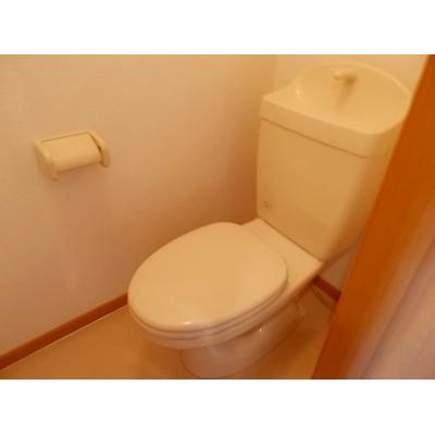 エテルナ・パーク 203【管理NO：1-011866501-02030】 ★家具家電は申し込み後に搬入します★ ★2026年11月上旬入居可能★の物件写真5